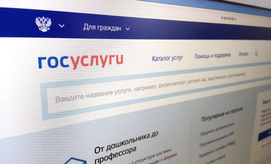 Информация по цифровизации предоставления государственных услуг в сфере миграции