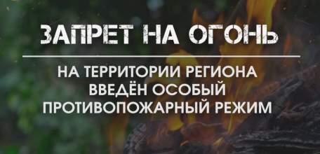 Введен особый противопожарный режим