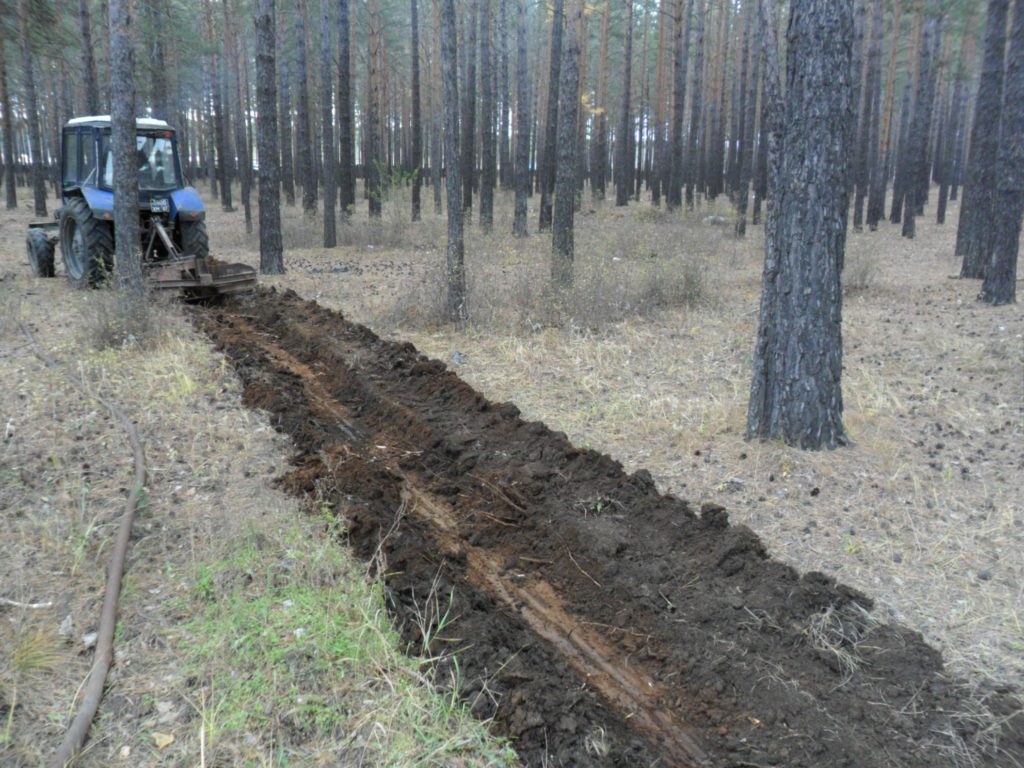 Противопожарный разрыв фото