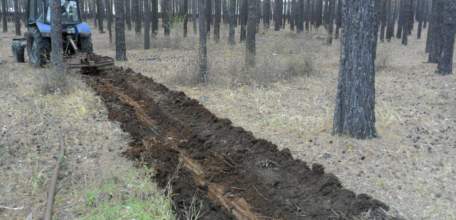 После вмешательства прокуратуры Елецкого района сельские администрации провели противопожарные мероприятия в лесах