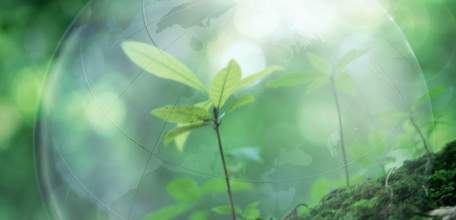 Экологическая неделя пройдет в Липецкой области с 15 по 21 мая