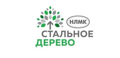 Трое педагогов Ельца стали победителями грантового конкурса от программы «Стальное дерево»