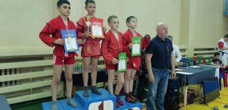 В Ельце определили сильнейших юных самбистов региона