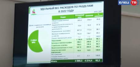 В Ельце прошли публичные слушания по исполнению бюджета