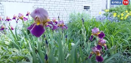 Сквер вместо бурьяна: жители улицы Черокманова начали «обживать» благоустроенное место отдыха