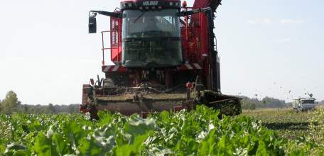 Липецкие сельхозпроизводители награждены дипломами конкурса «Лучшее свеклосеющее хозяйство России 2022 года»