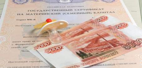 Более 2 тысяч липецких семей в этом году получают ежемесячную выплату из материнского капитала