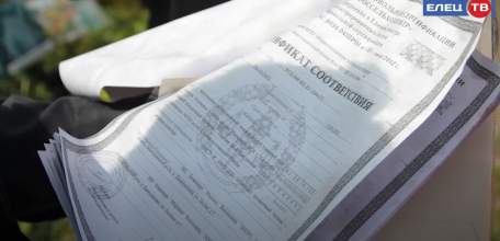 Соответствуют ГОСТу: как должна быть организована торговля саженцами и рассадой