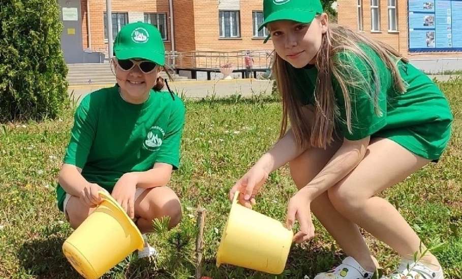 Фонд «Милосердие» помогает создать в Ельце образовательную эко-площадку