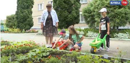 Собираем урожай: в детских садах Ельца малыши приучаются к труду на мини-огородах