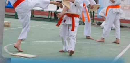 Ваш ребенок занимается футболом, борьбой или другим видом спорта?