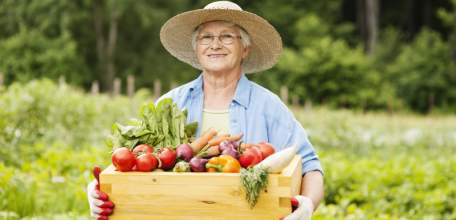 Более 11 тысяч липчан получают повышенную пенсию за работу в сельском хозяйстве