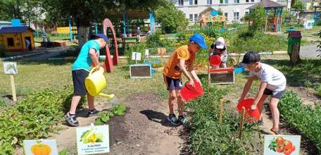 Более тысячи елецких дошкольников учатся садоводству