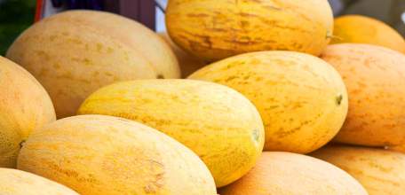 В Ельце сотрудники полиции раскрыли кражу дынь