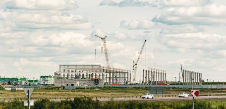 Средства защиты растений из Липецкой области будут доставлять по всему Черноземью