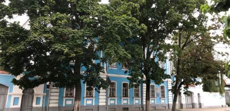 Как часто и какими силами вы поддерживаете чистоту в своём доме?