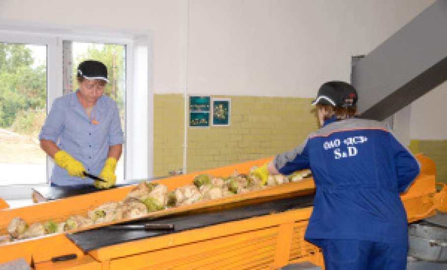 Четвертый сахарный завод приступил к работе в Липецкой области
