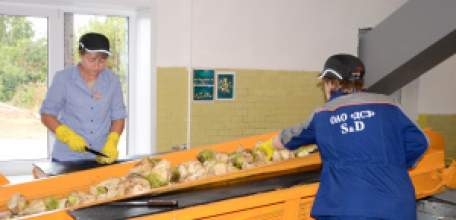 Четвертый сахарный завод приступил к работе в Липецкой области