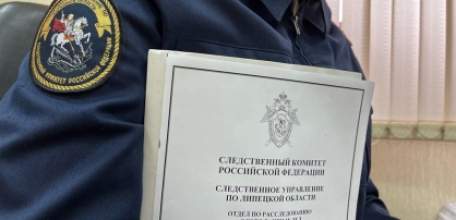 В Елецком районе автомобилист предстанет перед судом за ДТП, в котором погиб школьник