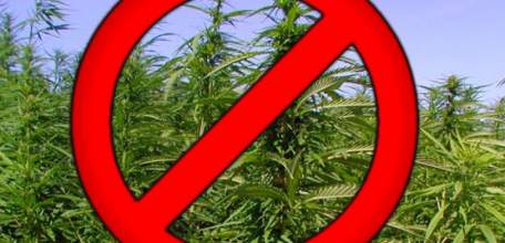 В Ельце перед судом предстанет 30-летний житель Липецкой области за незаконный оборот наркотиков в крупном размере