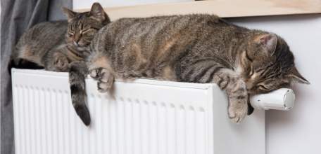 Липецк и Елец готовятся к отопительному сезону 2023 – 2024