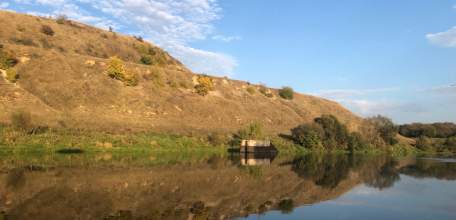 Обмеление реки Быстрая Сосна - проблема федерального масштаба.