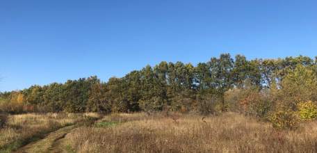 Липецкую структуру Sucden подозревают в незаконном складировании отходов