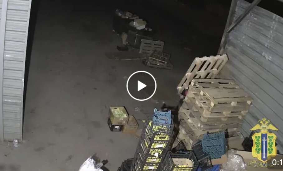В Ельце мужчина украл из складского помещения 200 деревянных поддонов