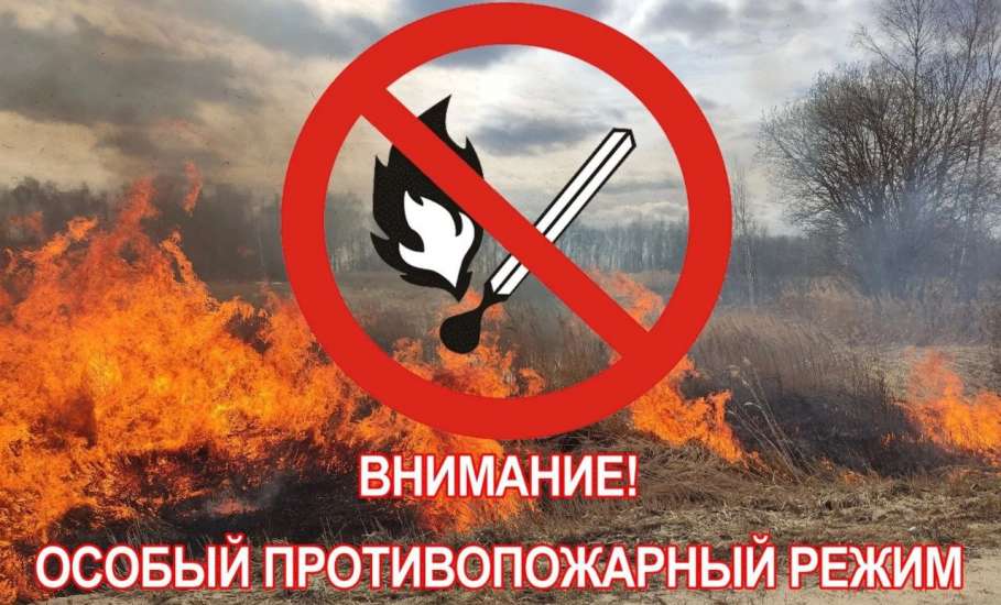 В Липецкой области введен особый противопожарный режим.