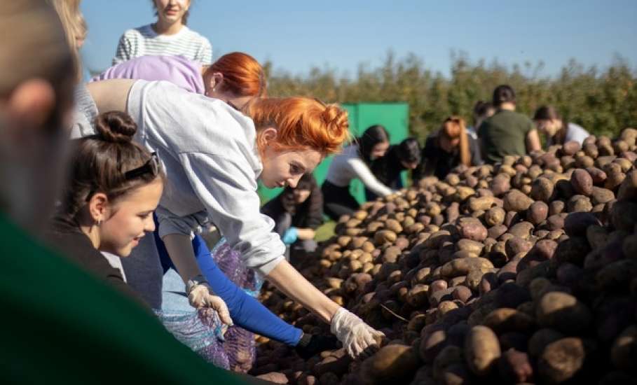 Молодёжь города побыла в качестве трудников в Знаменском женском монастыре