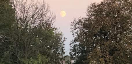 В Становлянском районе местный житель обвиняется в причинении тяжкого вреда здоровью односельчанина