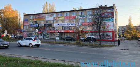 Рынок МФО: в каких странах популярны микрозаймы? В Ельце данное направление работает давно