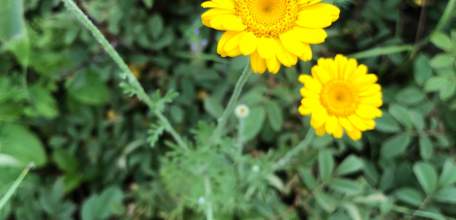 Уважаемые педагоги! Поздравляем вас с Днём учителя!