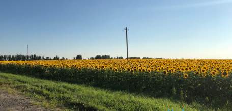 В Становлянском районе самовольно захватили земли
