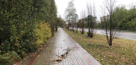 В Ельце сегодня был шквалистый ветер, дождь и снег. Упало дерево на проезжую часть дороги, сучья на пешеходный тротуар