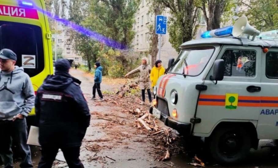 Сухое дерево упало на 11-летнего ребенка в Липецке из-за сильных порывов ветра