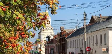 В Ельце сотрудники полиции устанавливают обстоятельства ДТП, в котором пострадал пешеход