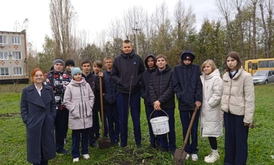 Акция «Посади дерево» прошла на территории школы посёлка Солидарность