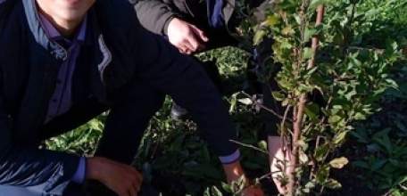 Акция «Посади дерево» прошла на территории школы посёлка Солидарность