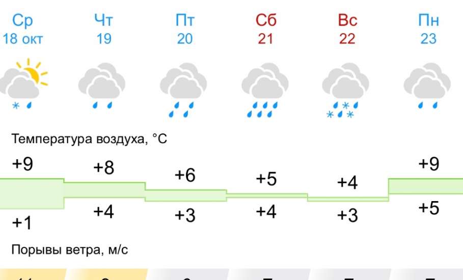 В Ельце наступил сезон дождей на 10 дней