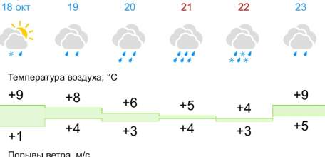 В Ельце наступил сезон дождей на 10 дней
