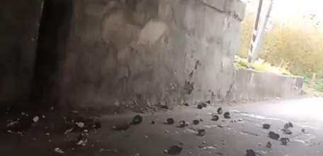 Большегруз в Ельце оборвал провода и рассыпал свеклу под жд. мостом на проезжую часть