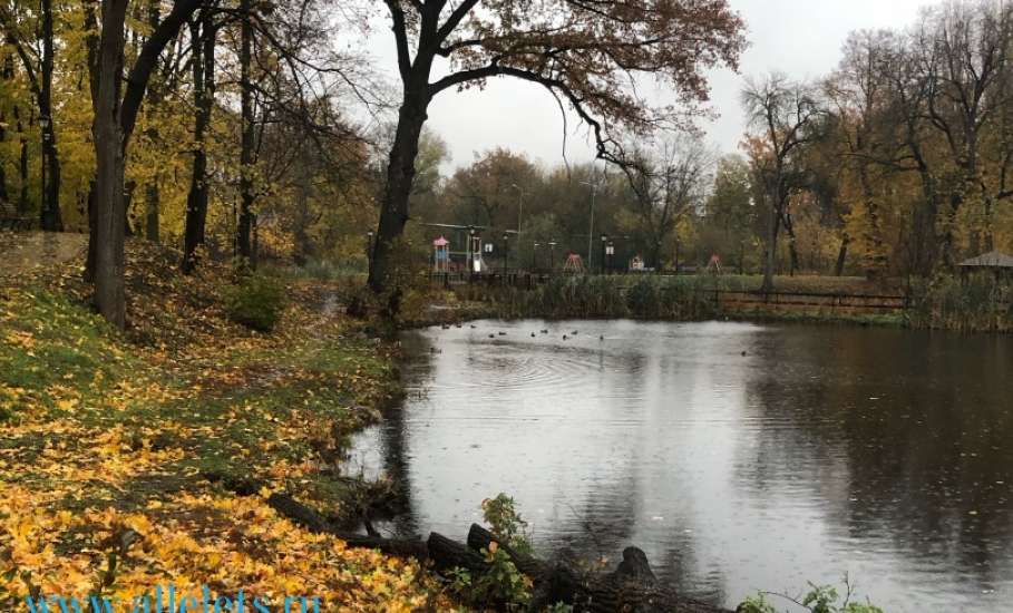 В Петровском парке Ельца дуб выдрало с корнями. Упавшее дерево никого не интересует, убирать видимо никто не думает