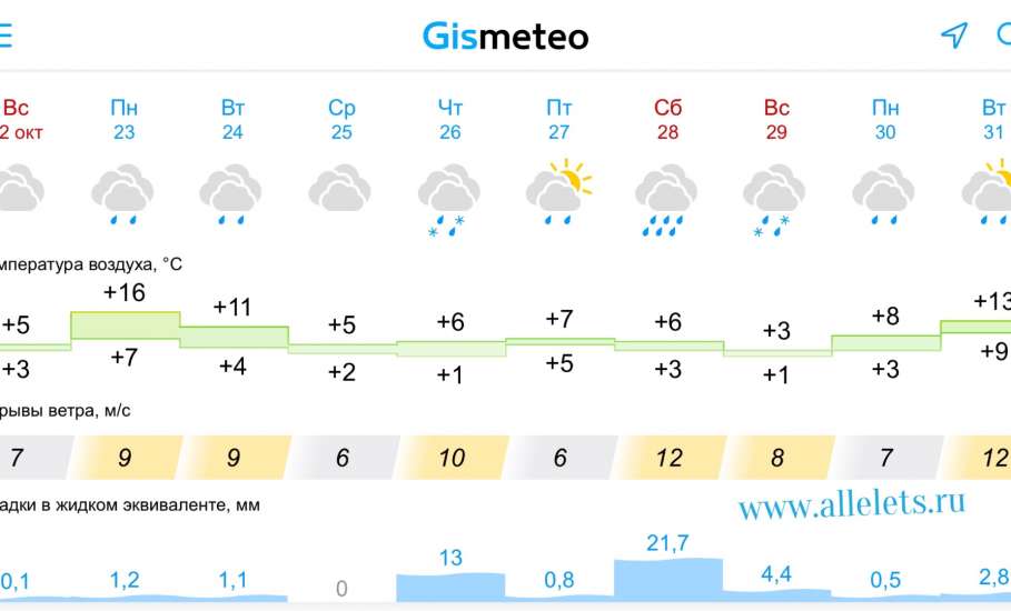Прогноз погоды в Ельце с 23 октября 2023 года по 31 октября