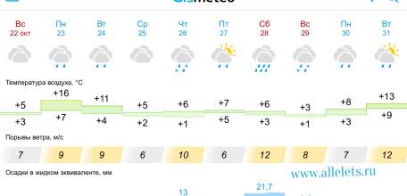 Прогноз погоды в Ельце с 23 октября 2023 года по 31 октября