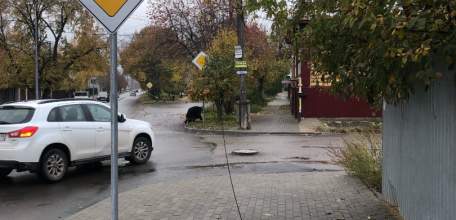 В Ельце оборванные провода спокойно лежат на тротуарах