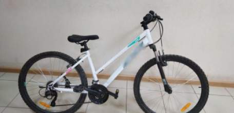 В Ельце в течение суток раскрыта кража велосипеда