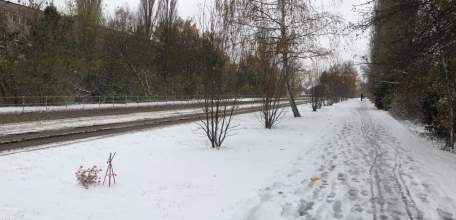 Зима пришла в Елец по прогнозам синоптиков