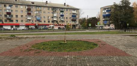 Ельце раскрыта кража денежных средств с банковской карты