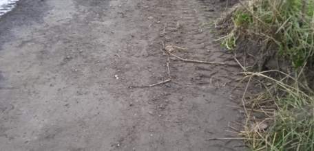 Виктор Николаевич! Хватит "протирать штаны"!!! Публичное обращение к председателю Елецкого городского Совета  депутатов